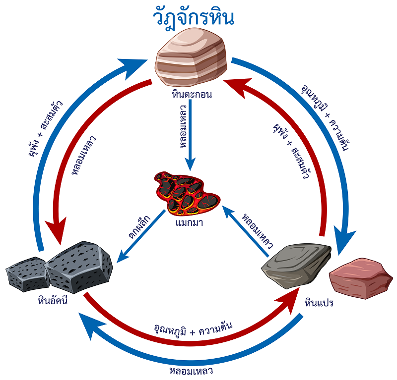 Which Is The Best Way To Complete This Model Of The Rock Cycle