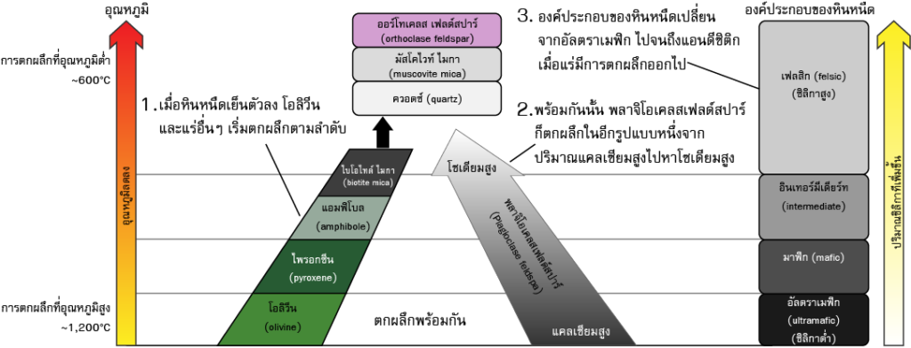 แผนภาพ ชุดปฏิกิริยาของโบเวน Bowen's reaction series โบเวน โบเวนซีรีส์ โบเวนซีรีย์